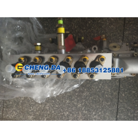 VG1246080097,高压油泵  D12,山东鼎赞飞行汽车制造有限公司