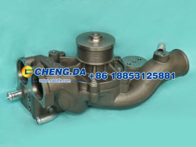 VG1246060094,水泵总成,山东鼎赞飞行汽车制造有限公司