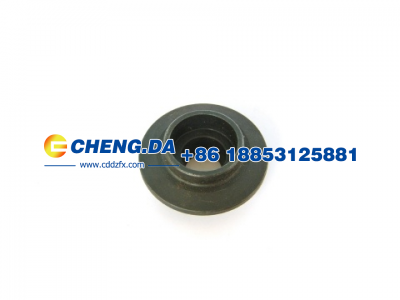 VG1560050041,排气门,山东鼎赞飞行汽车制造有限公司