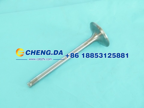 VG1560051001,進氣門,山東鼎贊飛行汽車制造有限公司