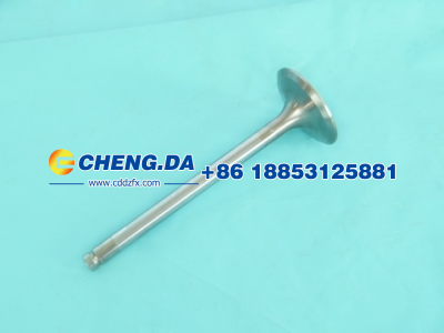 VG1560051001,进气门,山东鼎赞飞行汽车制造有限公司