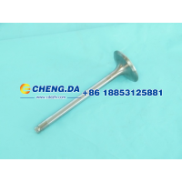 VG1560051001,进气门,山东鼎赞飞行汽车制造有限公司