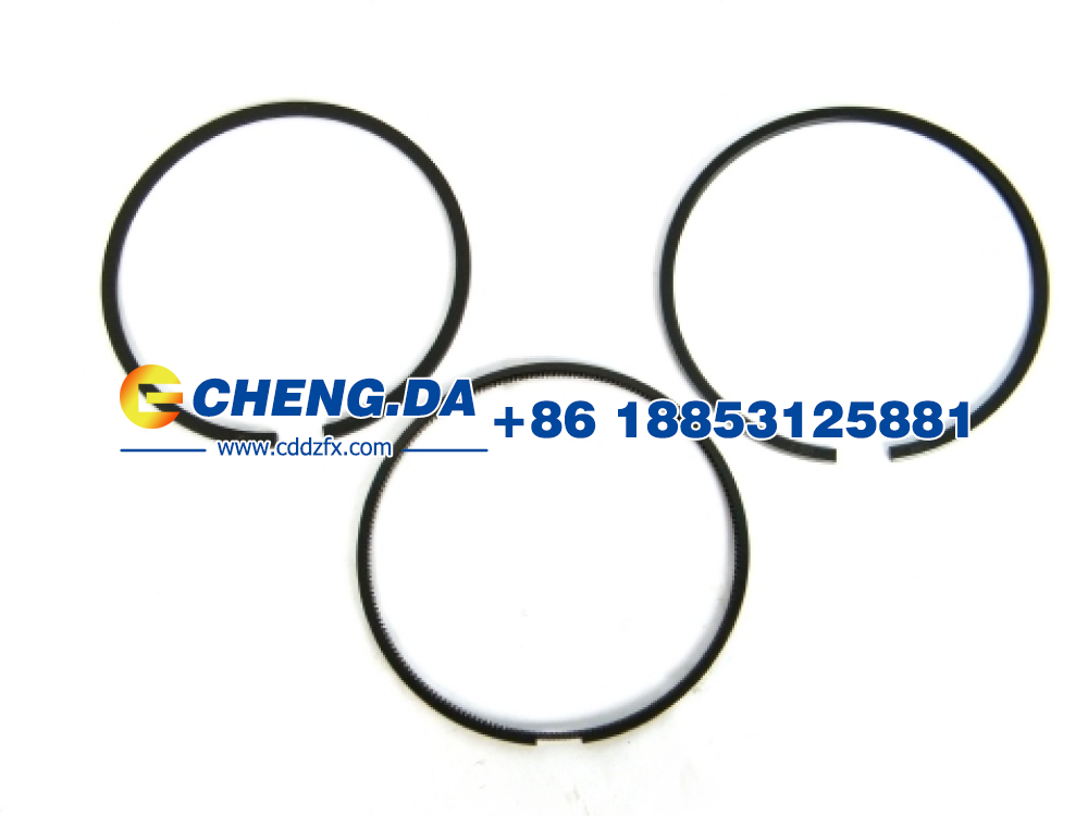 VG1540030005,活塞環(huán) 歐三,山東鼎贊飛行汽車制造有限公司