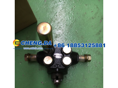 612600080343,輸油泵 歐Ⅱ,山東鼎贊飛行汽車制造有限公司