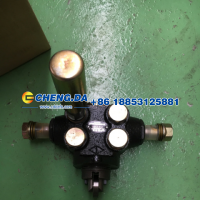 612600080343,输油泵 欧Ⅱ,山东鼎赞飞行汽车制造有限公司