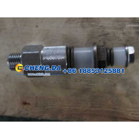 高壓油泵溢流閥VG2600080213