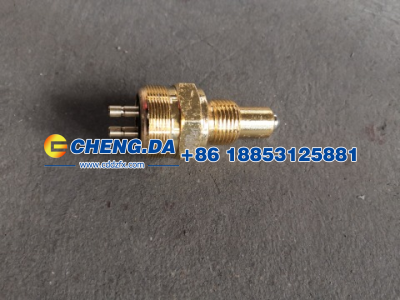 WG2209280003,倒挡压力开关 常开,山东鼎赞飞行汽车制造有限公司