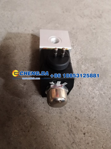 電磁閥 2插WG9719710004/WG9719710004