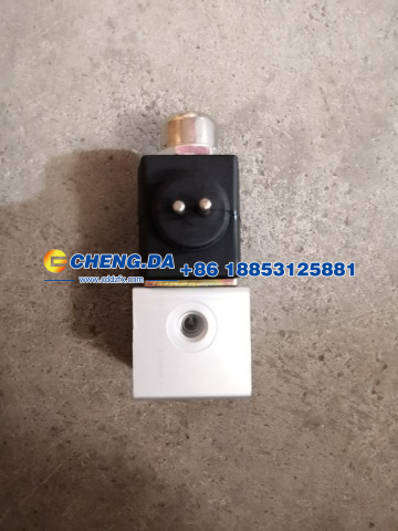 電磁閥 2插WG9719710004/WG9719710004