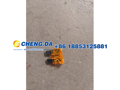 WG9725580009,保险片 5A,山东鼎赞飞行汽车制造有限公司