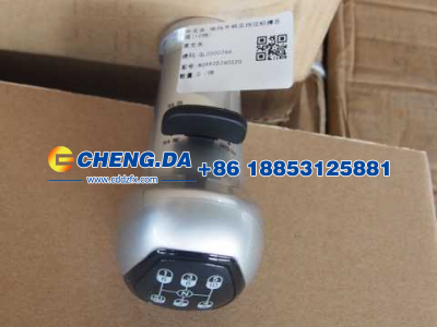 WG9925240020,换挡手柄及挡位标牌总成(10挡),山东鼎赞飞行汽车制造有限公司