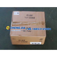 VG1500070021,机油泵,山东鼎赞飞行汽车制造有限公司