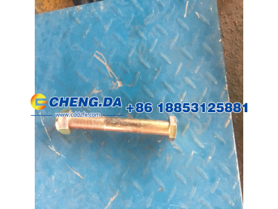 ZQ18520180TF6,外六角螺栓M20x1.5x180带螺母 重汽标 金色,山东鼎赞飞行汽车制造有限公司