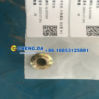 ZQ32010T13F6,六角螺母 法兰面 M10,山东鼎赞飞行汽车制造有限公司