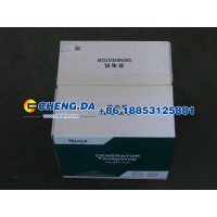 VG1095094002,发电机,山东鼎赞飞行汽车制造有限公司