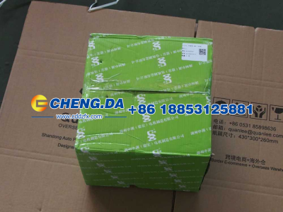 VG1560090012,发电机 6PK 1540W,山东鼎赞飞行汽车制造有限公司