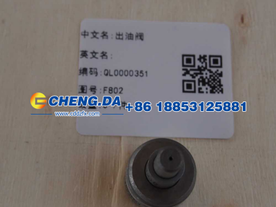 F802,出油阀,山东鼎赞飞行汽车制造有限公司