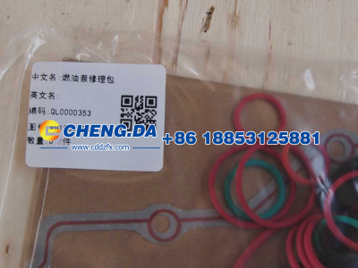 VG1560080022-XLB,燃油泵修理包,山东鼎赞飞行汽车制造有限公司