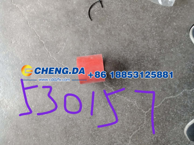 WG9725530157,中冷器进气管 08款,山东鼎赞飞行汽车制造有限公司