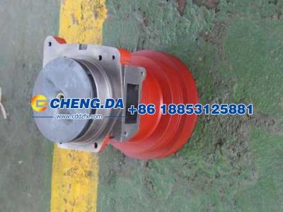 VG1500060051,水泵总成,山东鼎赞飞行汽车制造有限公司