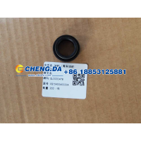 油封（骨架油封 20x30x12）VG1540040022A