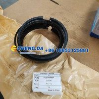 VG1560030050活塞环