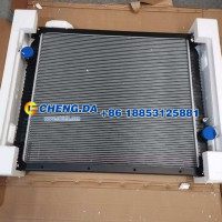 WG9719530276散热器 优质