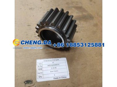 WG7129340071,太阳轮,山东鼎赞飞行汽车制造有限公司