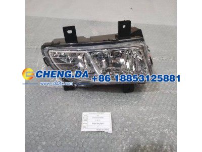 WG9719720026,右雾灯,山东鼎赞飞行汽车制造有限公司