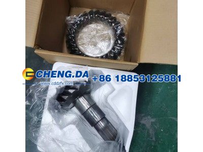 AZ9231320913,后桥盆角齿总成 17-28 细齿,山东鼎赞飞行汽车制造有限公司
