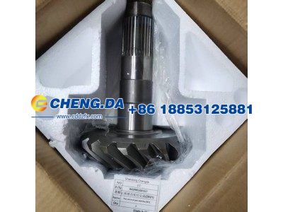 WG9981320157,后桥锥齿轮付总成,山东鼎赞飞行汽车制造有限公司