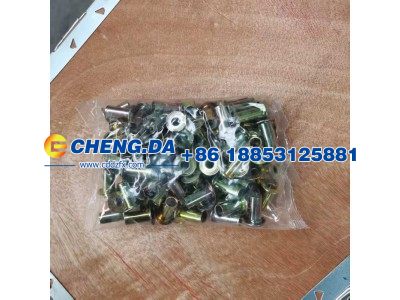 WG9231340068,铆钉铆钉 材质铁 镀红铜,山东鼎赞飞行汽车制造有限公司
