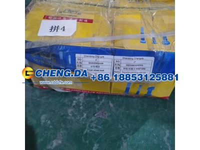 ZQ151B22250TF6,钢板座螺丝,山东鼎赞飞行汽车制造有限公司