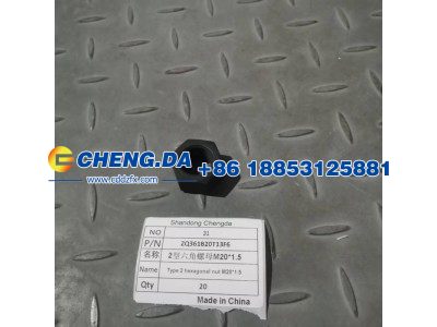 ZQ361B20T13F6,2型六角螺母,山东鼎赞飞行汽车制造有限公司