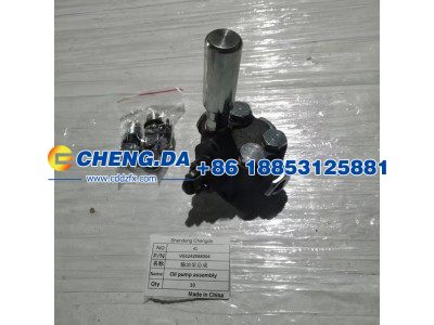VG1242088004,输油泵总成,山东鼎赞飞行汽车制造有限公司