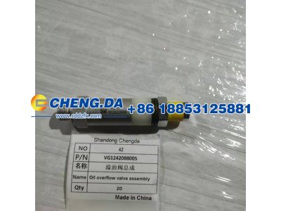 VG1242088005,溢油阀总成,山东鼎赞飞行汽车制造有限公司