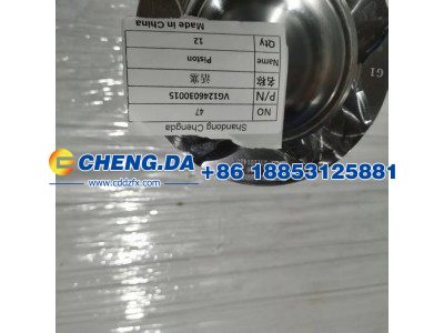 VG1246030015,活塞,山东鼎赞飞行汽车制造有限公司