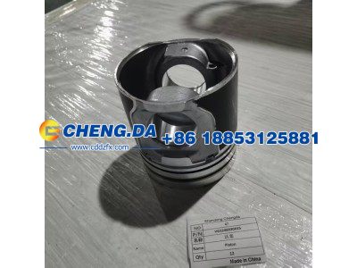 VG1246030015,活塞,山东鼎赞飞行汽车制造有限公司