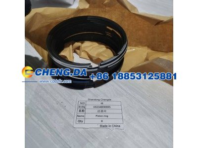 VG1540030005,活塞环,山东鼎赞飞行汽车制造有限公司
