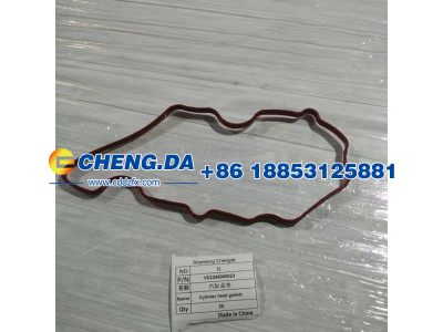 VG1246040023,汽缸盖垫,山东鼎赞飞行汽车制造有限公司