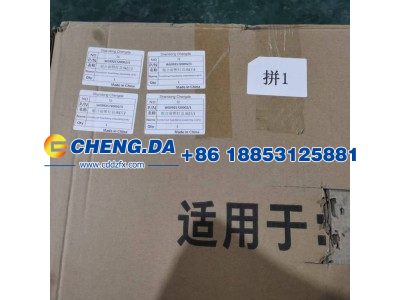 WG9925720002-3,组合前照灯总成(左)10款A7,山东鼎赞飞行汽车制造有限公司