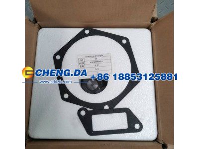 VG1500060051,水泵,山东鼎赞飞行汽车制造有限公司