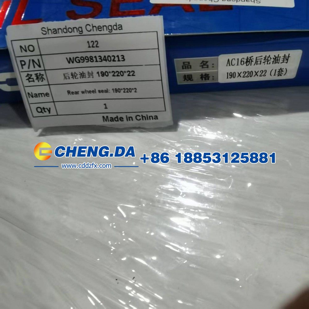 WG9981340213后輪油封 190-220-22/WG9981340213