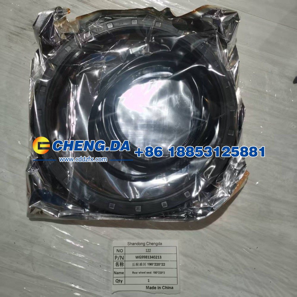 WG9981340213后輪油封 190-220-22/WG9981340213