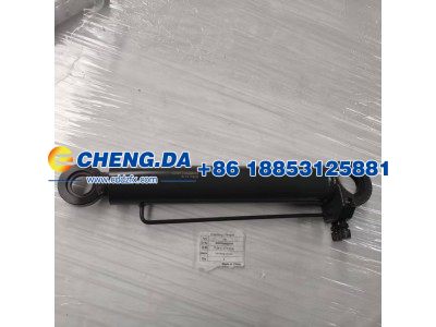 WG9719820004,举升缸,山东鼎赞飞行汽车制造有限公司