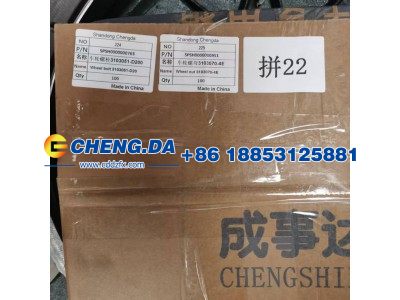 SPSH0000000763,车轮螺栓3103051-D200,山东鼎赞飞行汽车制造有限公司