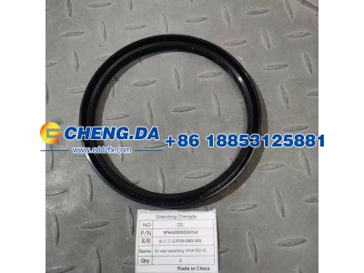 SPHG0000000054,油封总成3104-05D-300,山东鼎赞飞行汽车制造有限公司