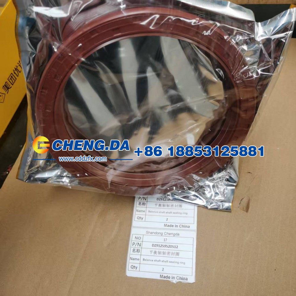 DZ91259520512平衡轴轴密封圈