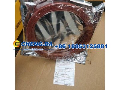 DZ91259520512,平衡轴轴密封圈,山东鼎赞飞行汽车制造有限公司