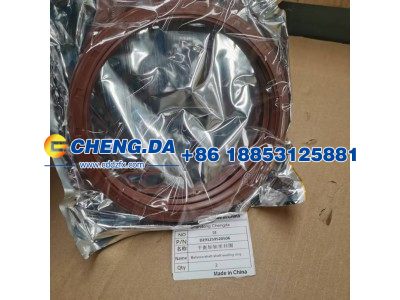 DZ91259520506,平衡轴轴密封圈,山东鼎赞飞行汽车制造有限公司